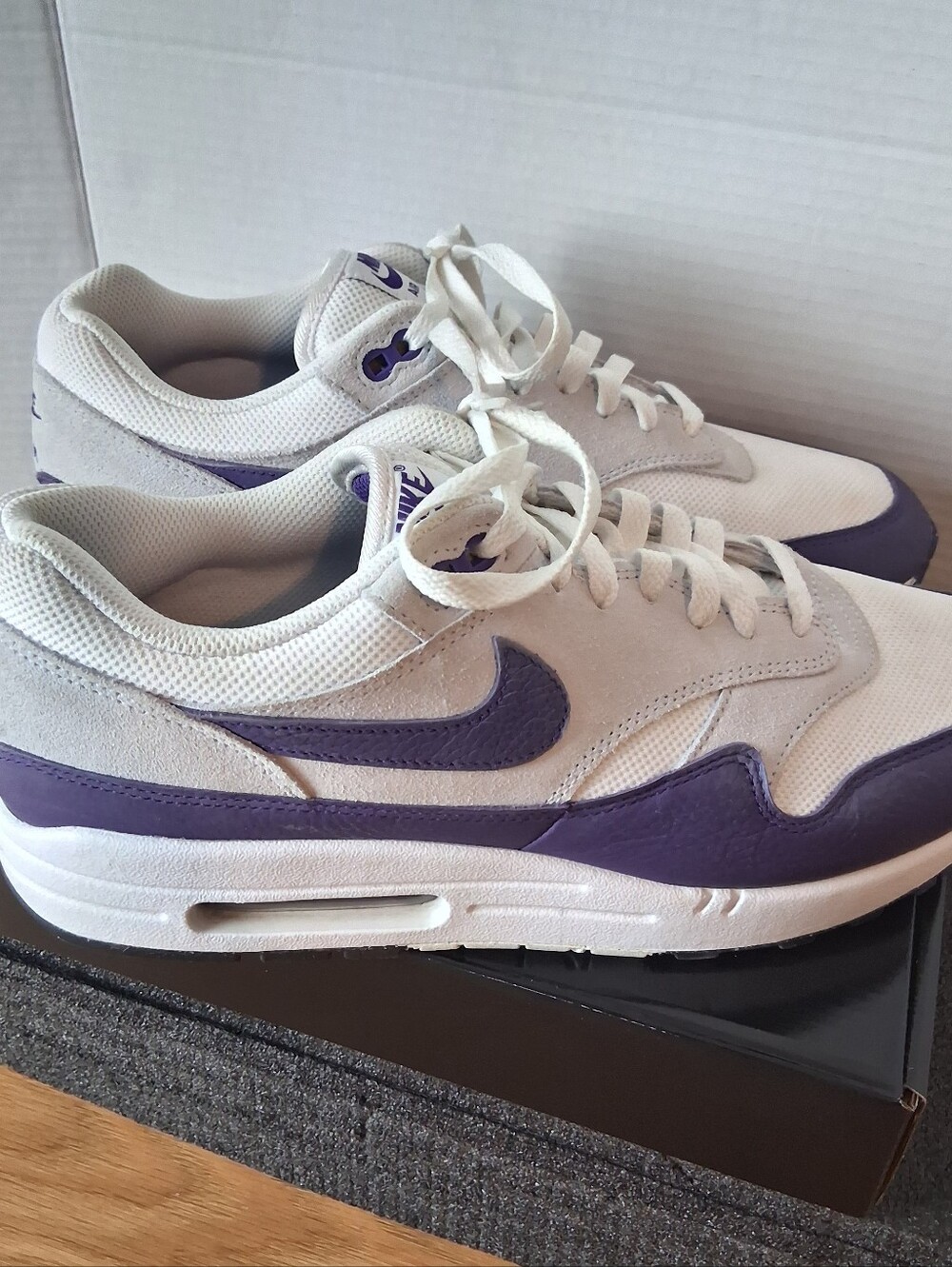 Nike Air Max 1 SC ‘Field Purple’ Men’s 12 US [DZ4549-101] Running Retro
